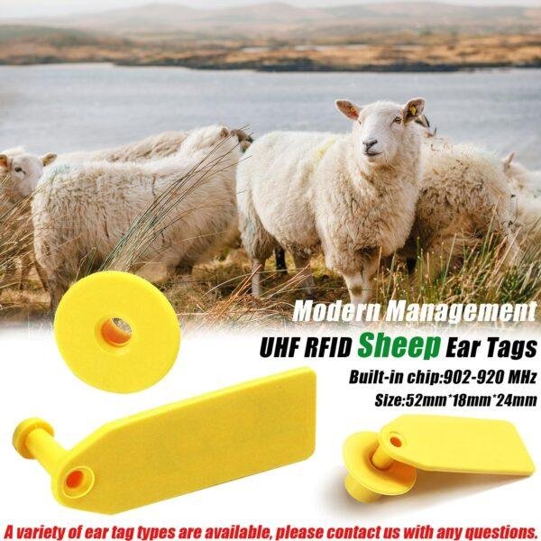 rfid ear tags for sheep