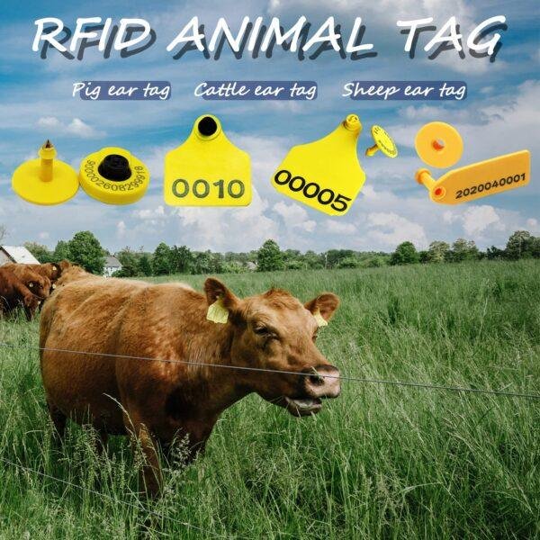 rfid ear tags for cattle cow